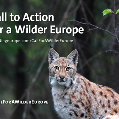 IUCN Member Rewilding Europe launches a call for action to drive forward rewilding in Europe