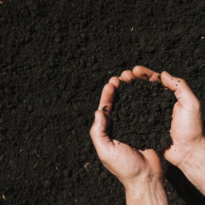 The European Commission released its new strategy on healthy soils for people, food, nature and climate