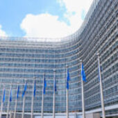 World Water Day: MEP Water Group address water-related questions to the European Commission
