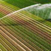 Water reuse: New EU rules to improve access to safe irrigation