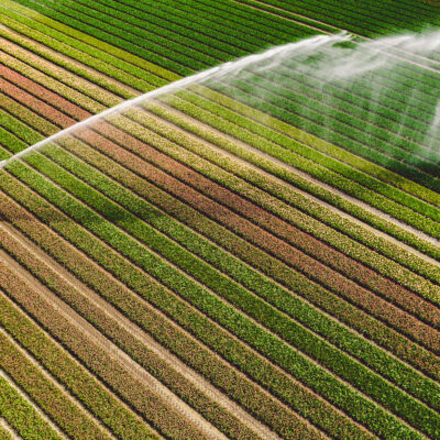 Water reuse: New EU rules to improve access to safe irrigation